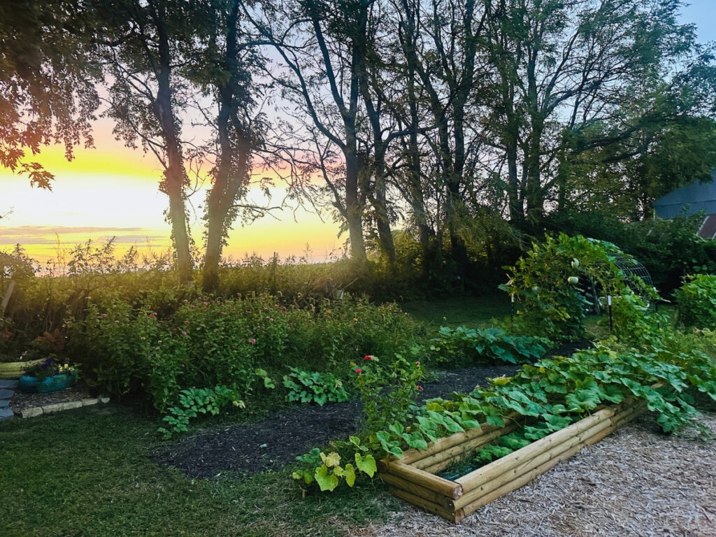 pumpkins and wildflowers