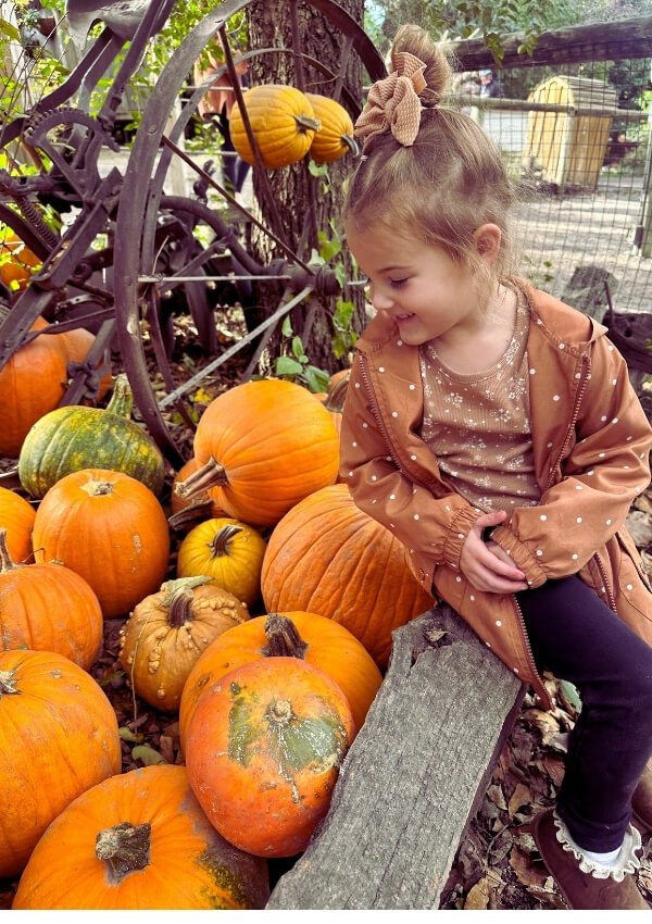 pumpkins aubrie